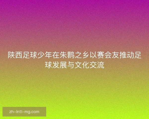 陕西足球少年在朱鹮之乡以赛会友推动足球发展与文化交流