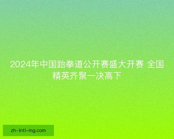 2024年中国跆拳道公开赛盛大开赛 全国精英齐聚一决高下