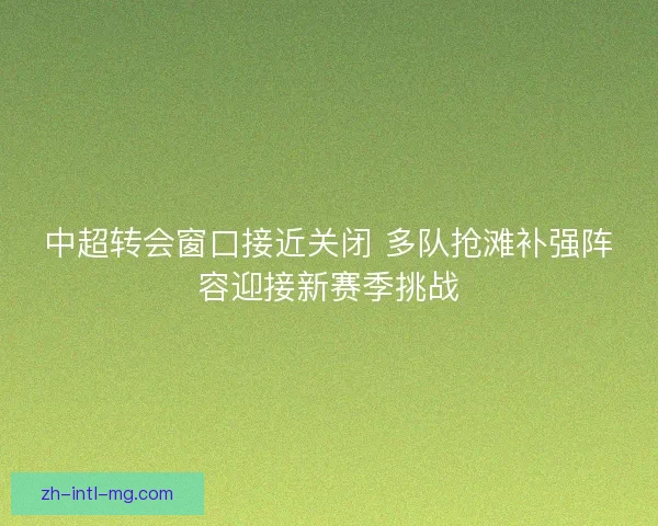 中超转会窗口接近关闭 多队抢滩补强阵容迎接新赛季挑战 中超转会窗口接近关闭 多队抢滩补强阵容迎接新赛季挑战